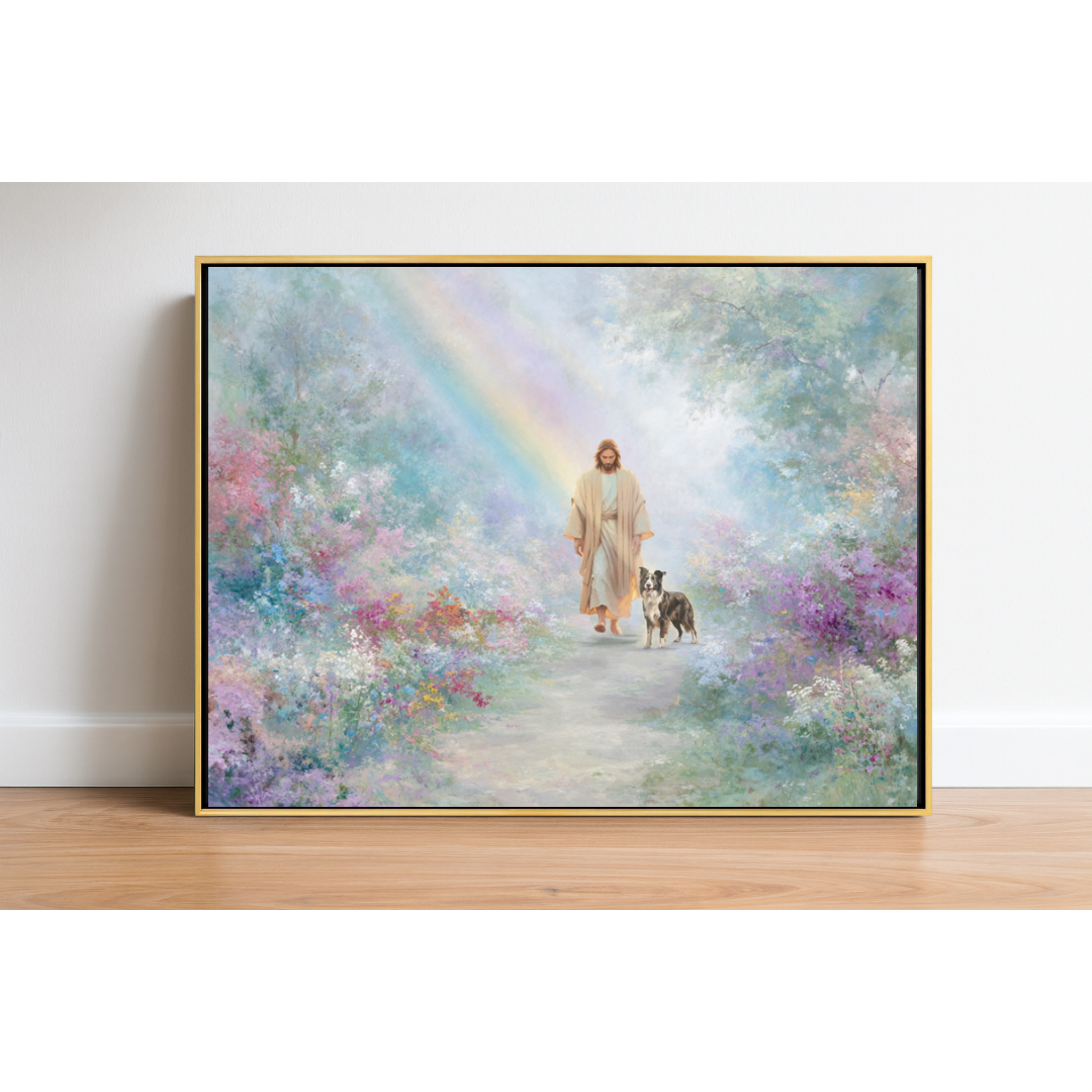 Beyond the Rainbow Border Collie Canvas